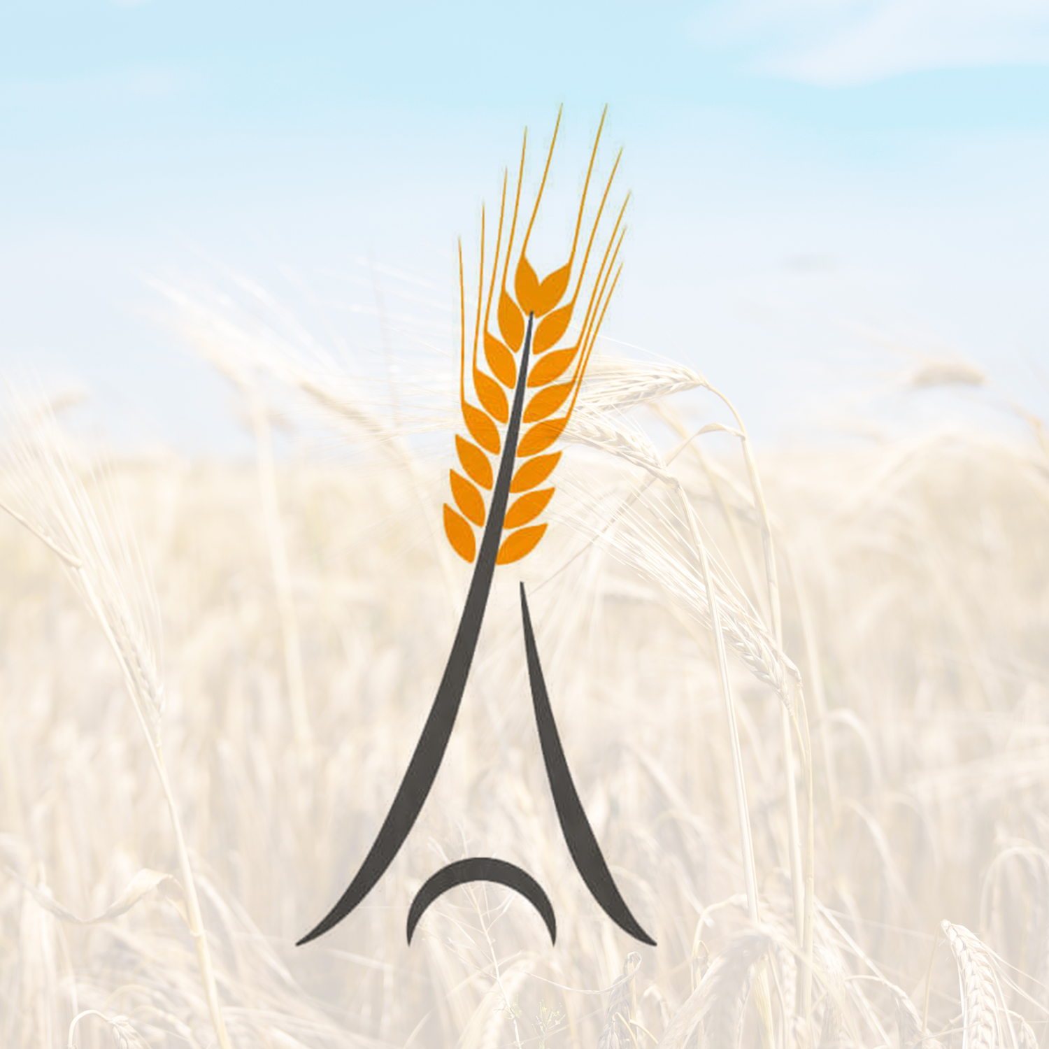 Paris Grain Conference bmp greengas