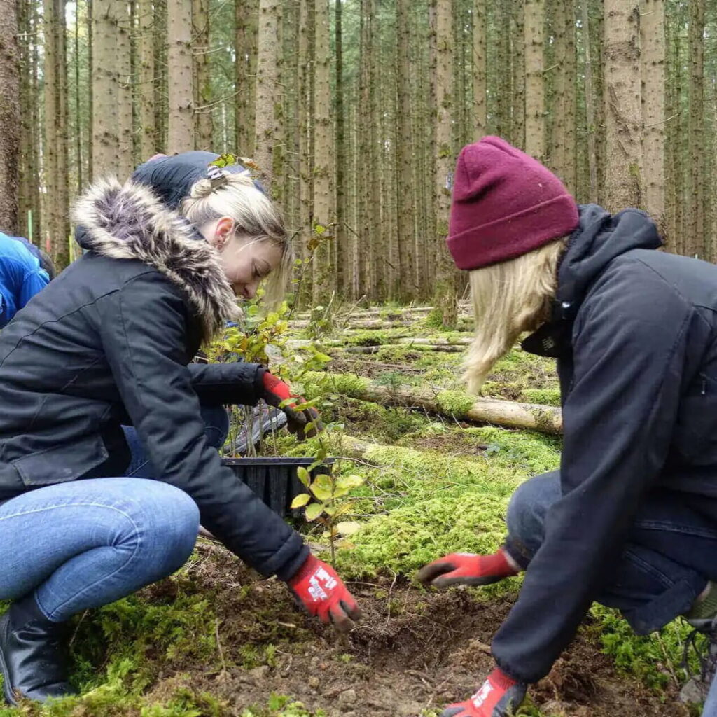 Bergwaldprojekt bmp greengas 2026