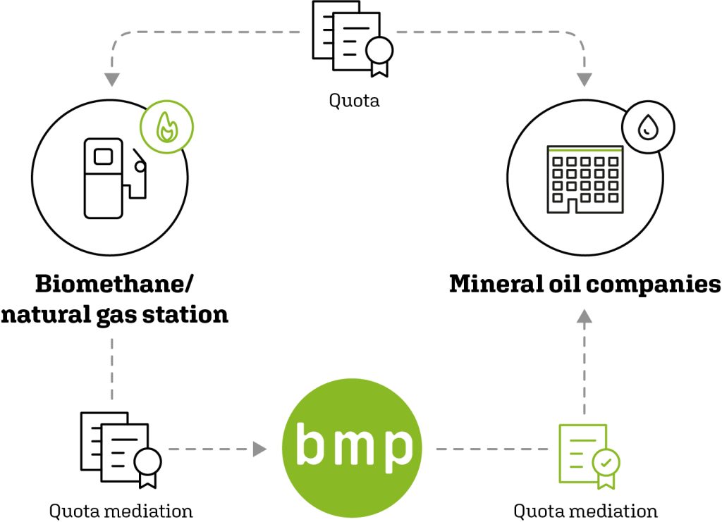 bmp greengas | Infografik Quotenvermarktung Biomethan Englisch